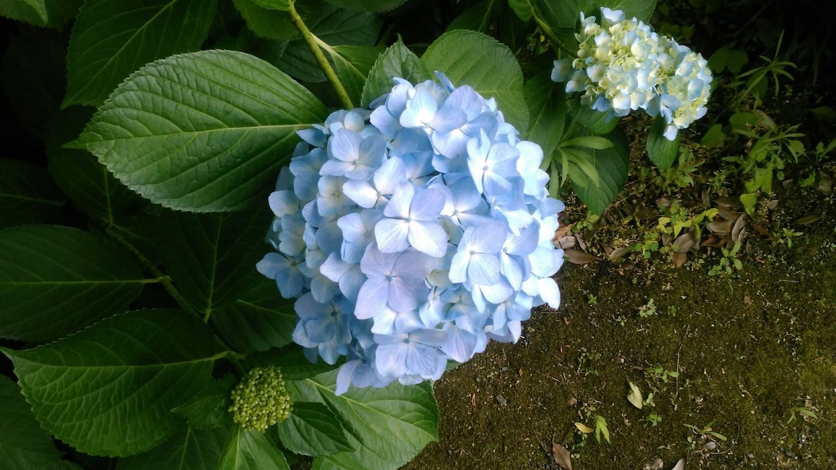 相手の気持ち視ます 相手の気持ちを深く正確に視ます。 イメージ1