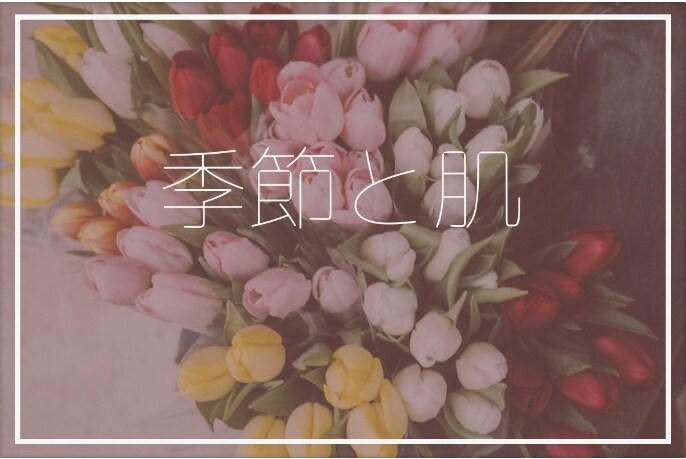 あなたのお肌の仕組みや必要なケア教えます 協会認定エステティシャンが伝授！美しくいる為に知るべきこと イメージ1