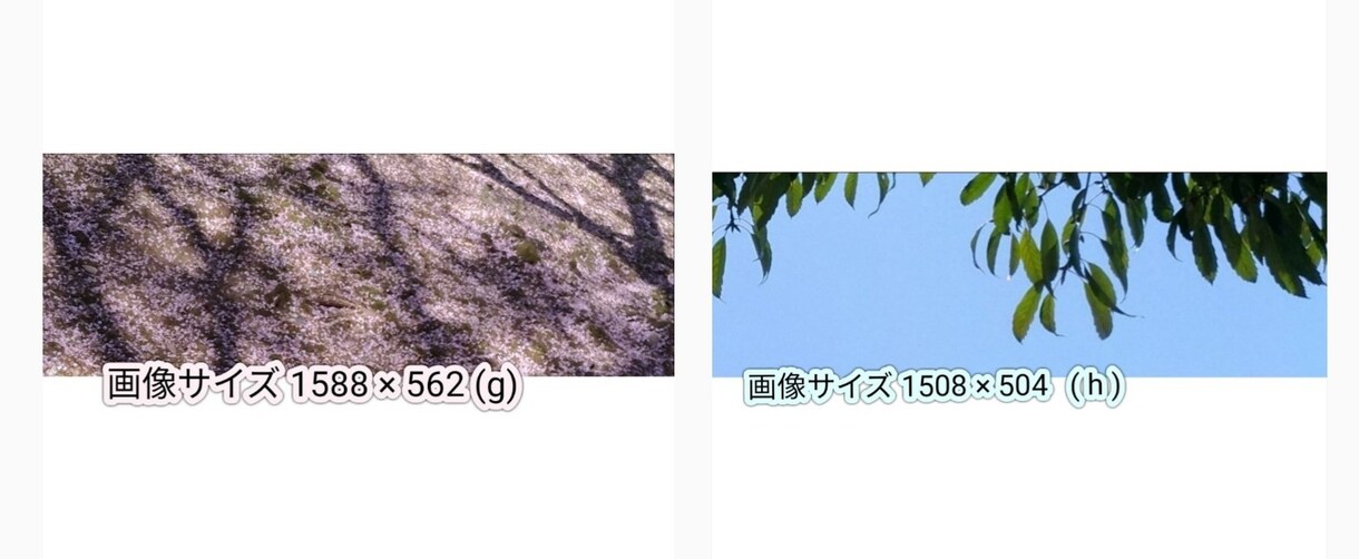 ツイッターヘッダーにお使い頂けます 選んで頂いた画像のファイルをお送りします。 イメージ4