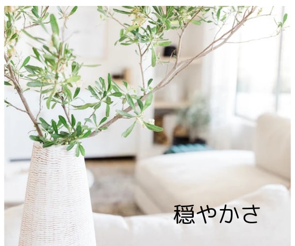 親子関係のお悩み★解決へとお導きします つらい感情★深い傷★ヒーリング✨寄り添い優しく癒やします✨ イメージ4