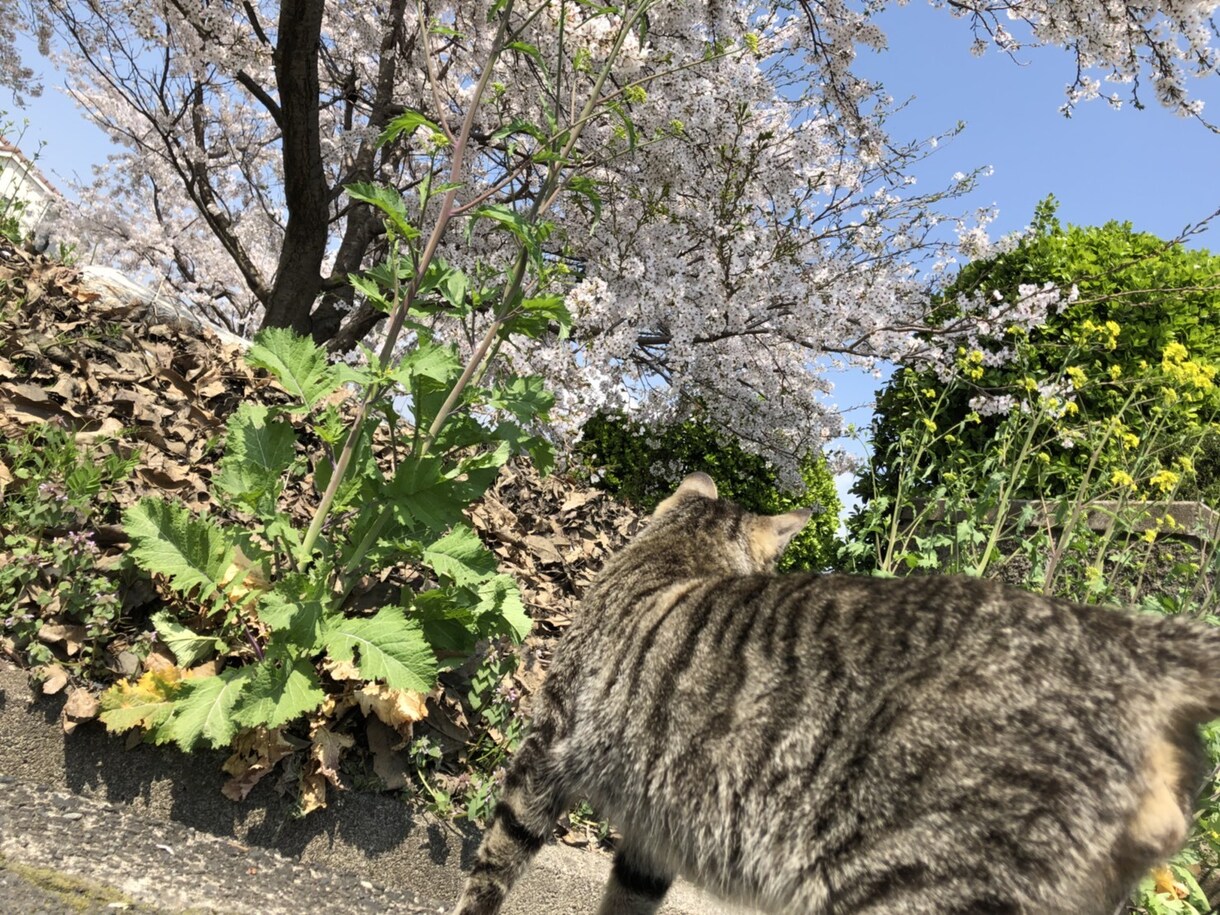 友達以上恋人未満のモヤモヤ関係をどうにかします 今のままじゃ･･･どっちなのかハッキリしてほしい！あなたへ イメージ1