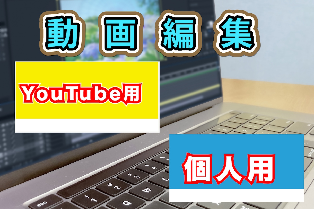 YouTube用から個人用までの動画編集いたします 何回でも修正オッケー。YouTube編集２０本の編集実績 イメージ1