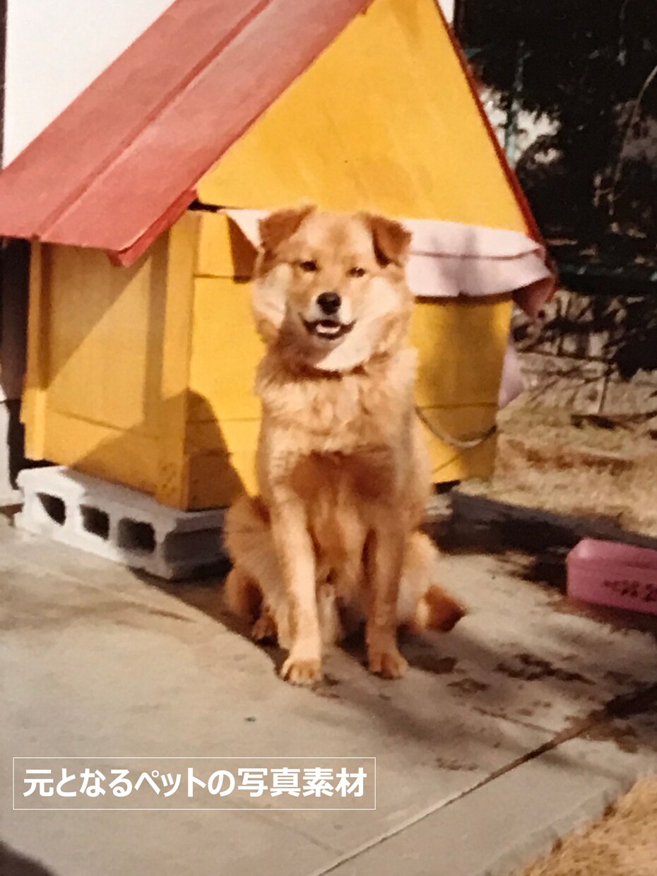 あなたのペット写真を飾れる絵画にします 愛犬･愛猫ちゃんの思い出写真を素敵な背景と合成して絵画風加工 イメージ3