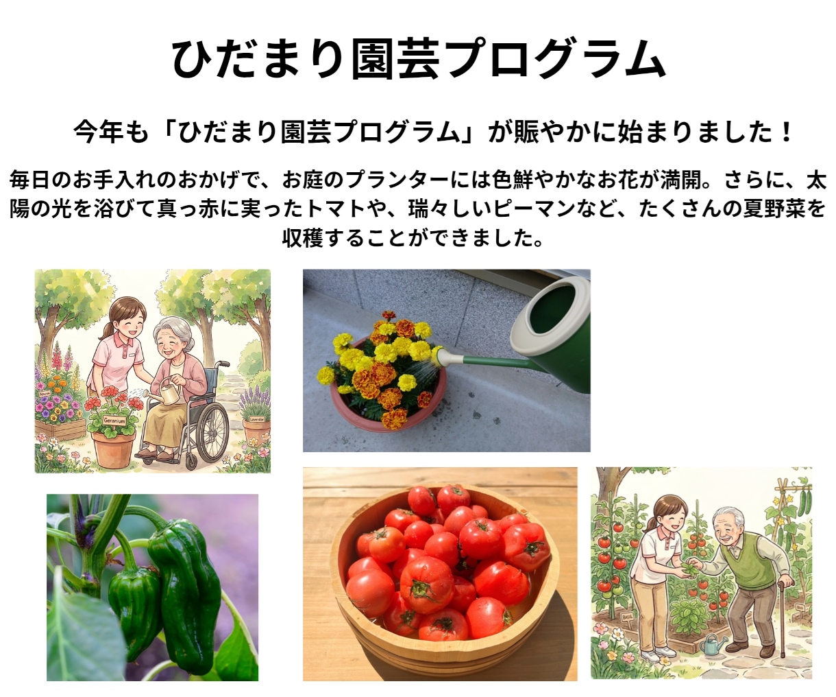 元介護職が作る介護施設サービスをデザインします 現場の理解が早い！見学促進・広報誌・勉強会資料等の作成 イメージ3