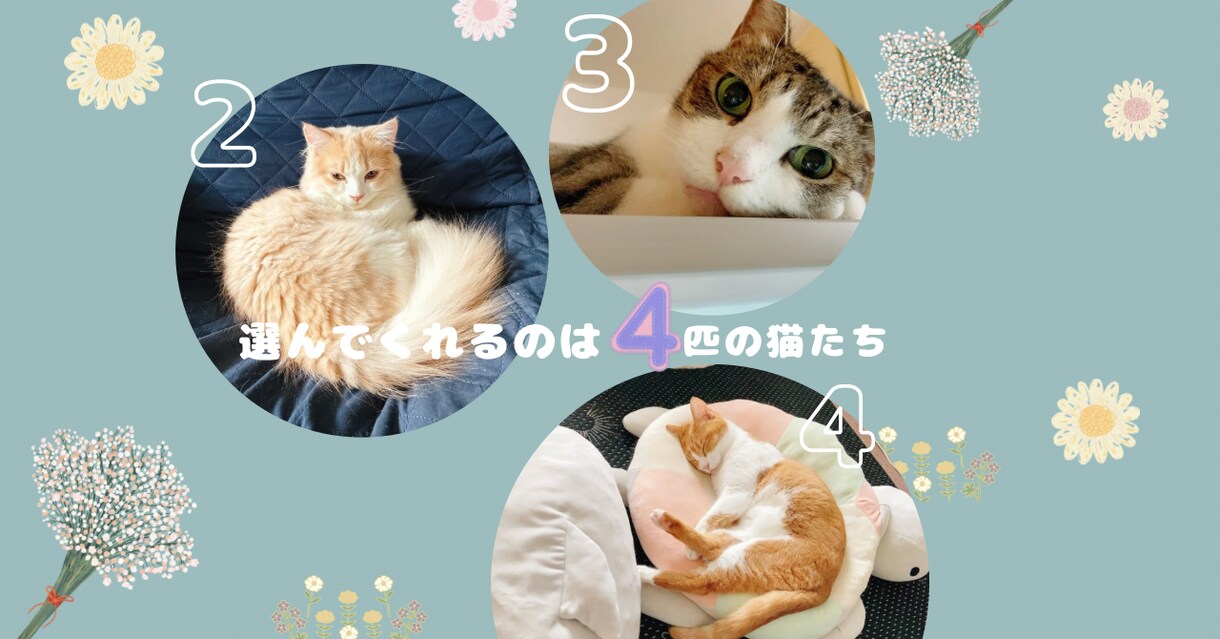神秘的な猫達が、あなたにぴったりの1枚を選びます 猫の神秘的な直感が恋する心にやさしく光を灯します✴︎ イメージ3