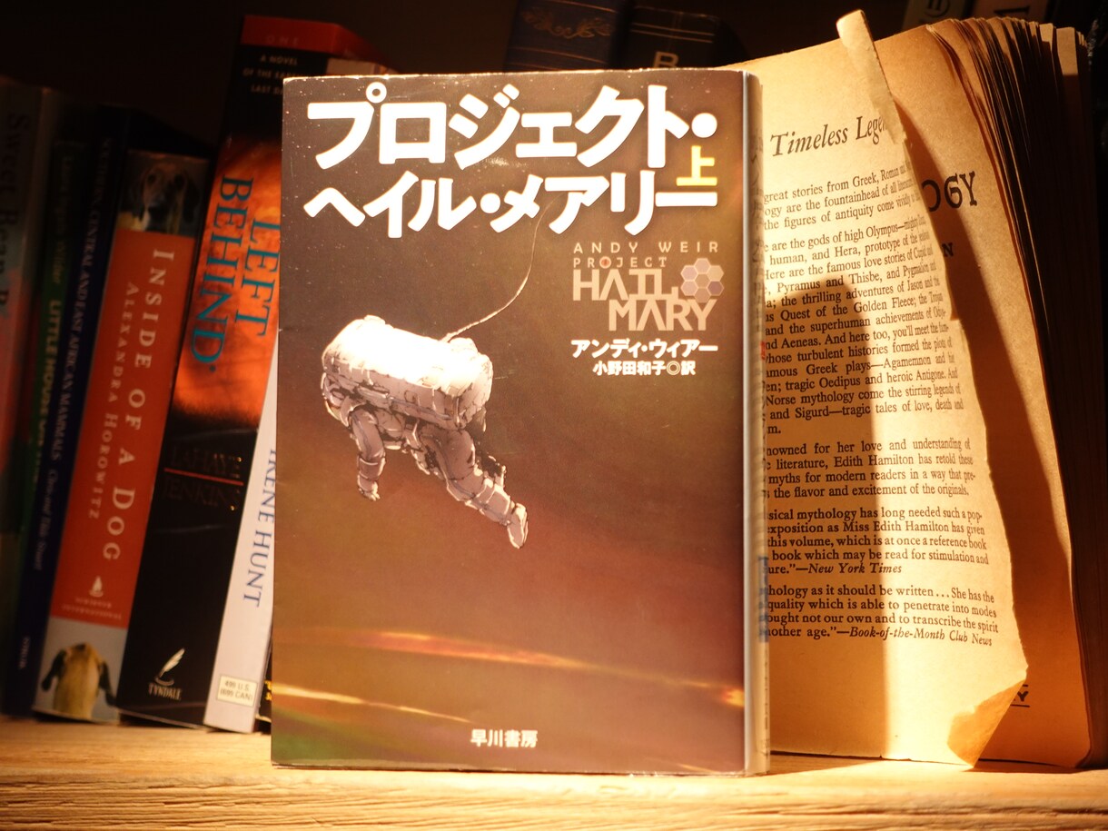 読書習慣を身につけたいあなた専用読書サポートします 1冊で終わらせない。“続く読書”を一緒に作ります。 イメージ7