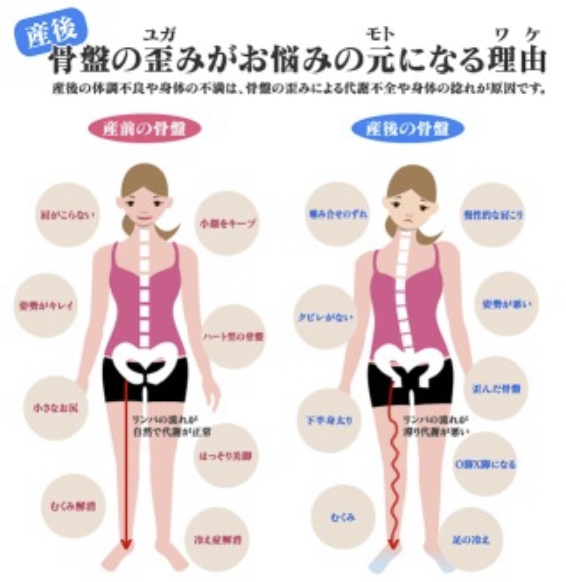営業や接客の方必見！姿勢改善で第一印象を良くします 腰痛でお困りの方に骨盤矯正行ってきたプロ鍼灸師が教えます。 イメージ6
