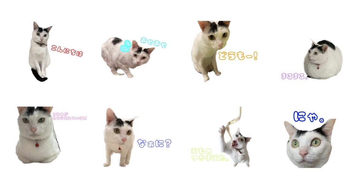 我が家のかわいいLINEスタンプ作成します 画像を使用してLINEスタンプ作成します！！！ イメージ1