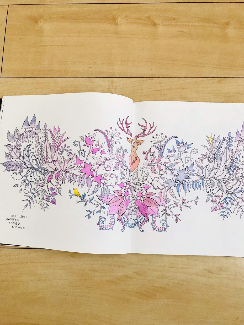 お好きなぬり絵を美しく塗ってさしあげます 綺麗なぬり絵のお手本を提供します イメージ6