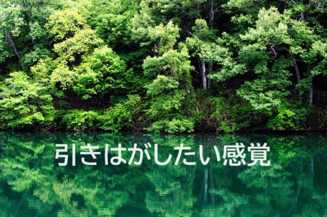 不登校・引きこもり★アドバイスなしで愚痴を聞きます ★親御さんのための心の休憩室★ひたすらお聞きします イメージ8