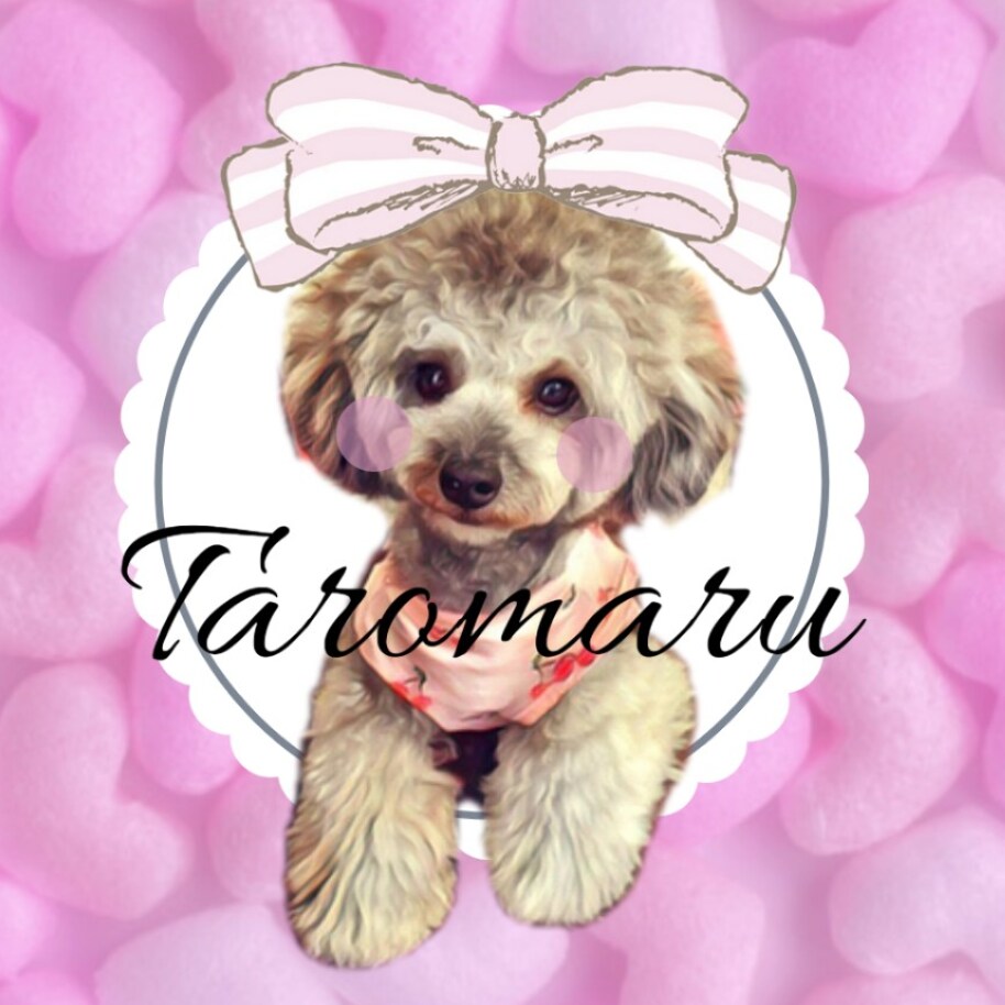 飛び出る!かわいいうちの子アイコン作ります 世界に一つだけ♡可愛すぎるうちの子アイコン イメージ1