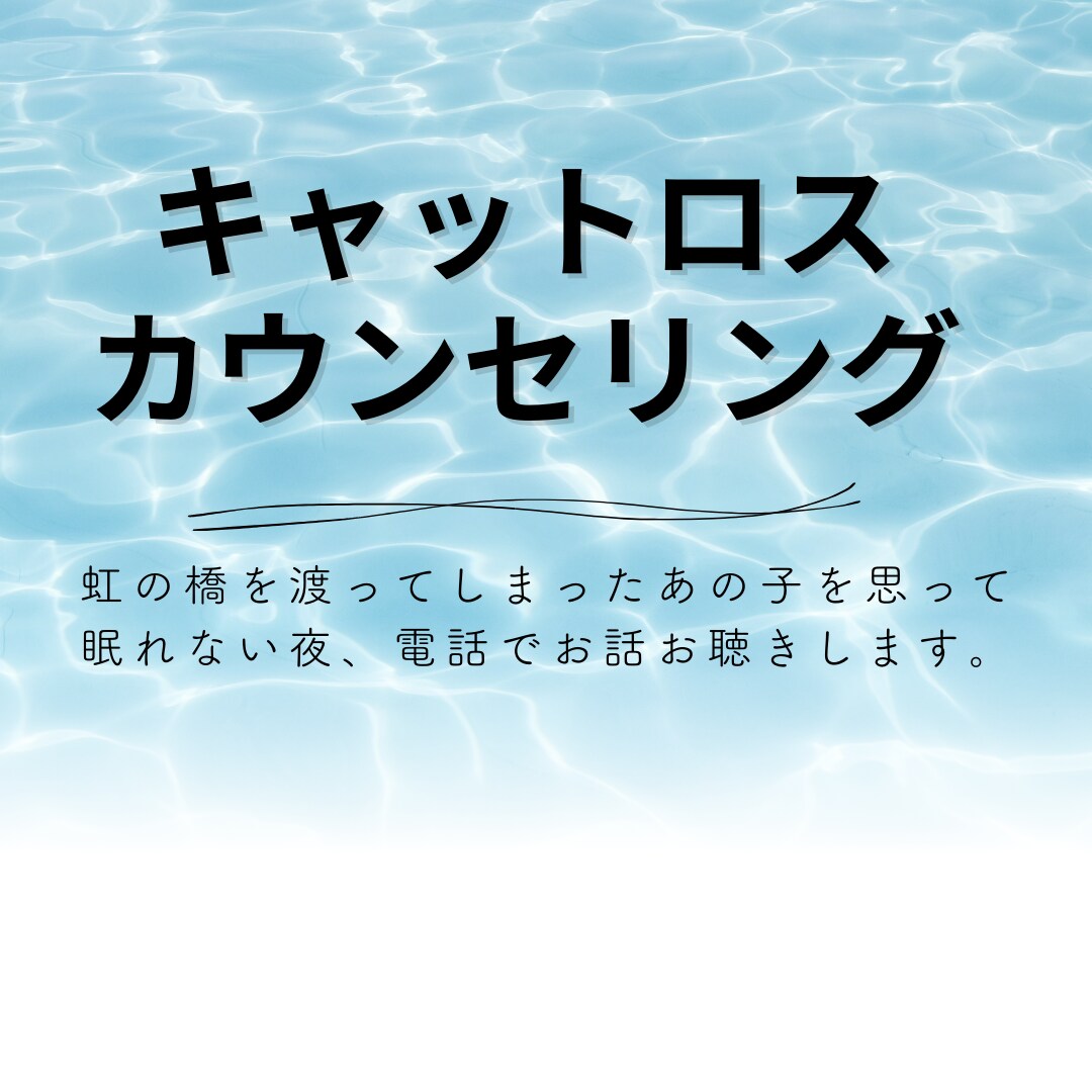 猫ちゃんを失ったあなたのつらいお気持ちを聞きます あなたの気持ちを聞かせて下さい。話し相手になって欲しいもOK イメージ1