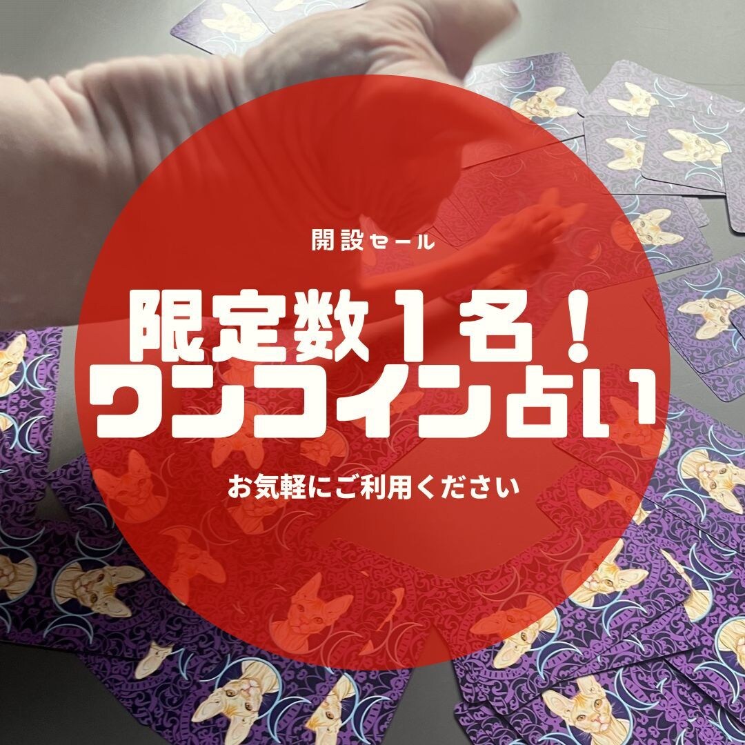 限定１名様！ワンコインで占います オッドアイのスフィンクスによるタロット占い イメージ1