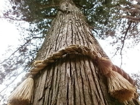 関東パワースポット三峯神社代理参拝します 芸能人や著名人も訪れる関東一のパワースポットで祈願されたい方 イメージ2