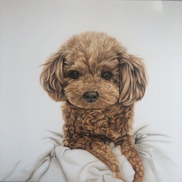 大切な家族とのワンシーンを描きます 溺愛しているペットと飼い主さんに素敵な贈り物を！ イメージ4