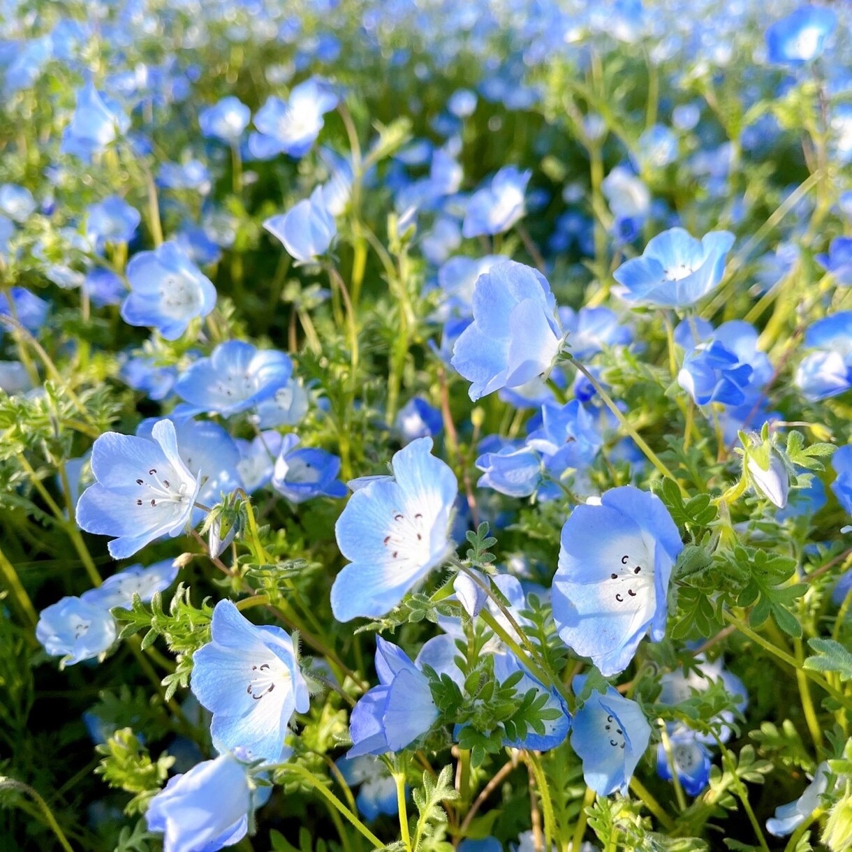 某番組で人気の!!天星術!!出来ます HSP/複雑な環境にいた私に出来ること( *´꒳`* )♡ イメージ1