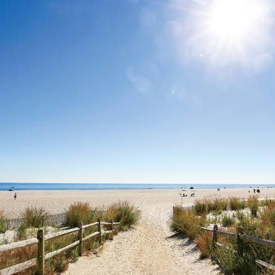 英日翻訳を格安で承ります アメリカで高校と大学を卒業した在住経験あり！ イメージ1