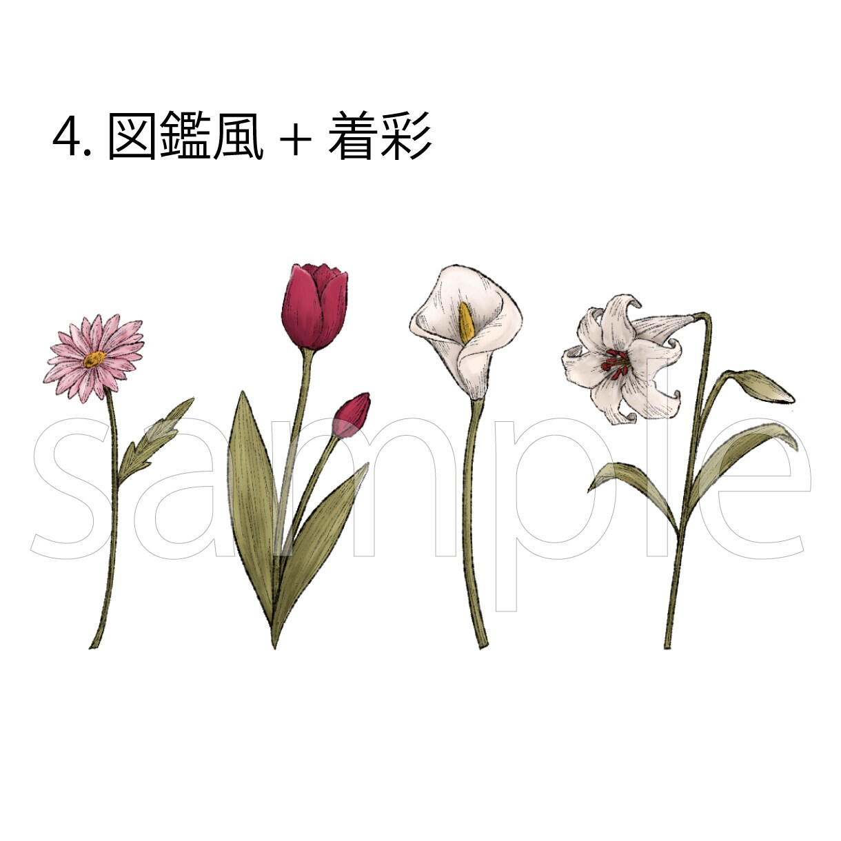 色々なテイストの植物イラスト描きます 一筆書き、図鑑みたいな線画、リアルなどお選びいただけます イメージ5
