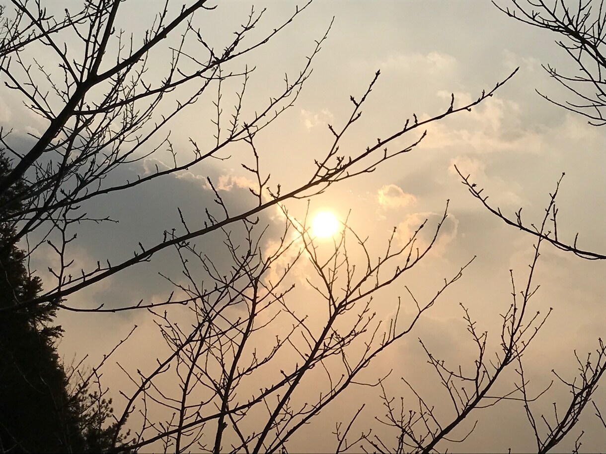 ３０日間◆あなたの苦しみ悲しみを癒す手助けをします ◆自分の気持ちがわからない・人生を楽しめない・自分が嫌いなど イメージ9