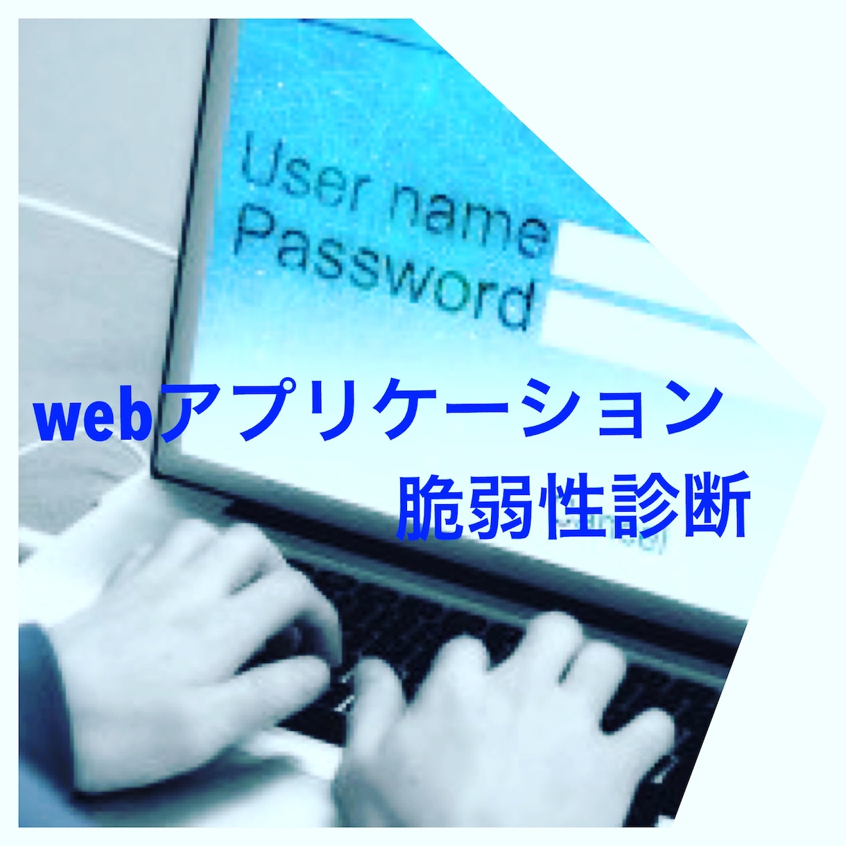 Webアプリケーションの脆弱性診断を行います プロの脆弱性診断士による 【シンプル】プラン診断 イメージ5