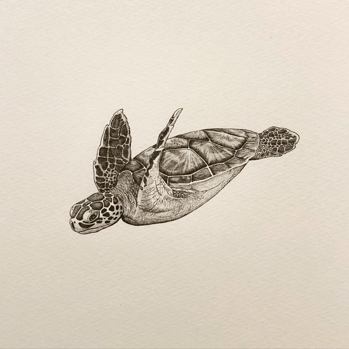 ペン画による繊細なモノクロのイラストを制作します 人、動物、植物、風景、物・・・あなたの大切を一枚の絵に。 イメージ8