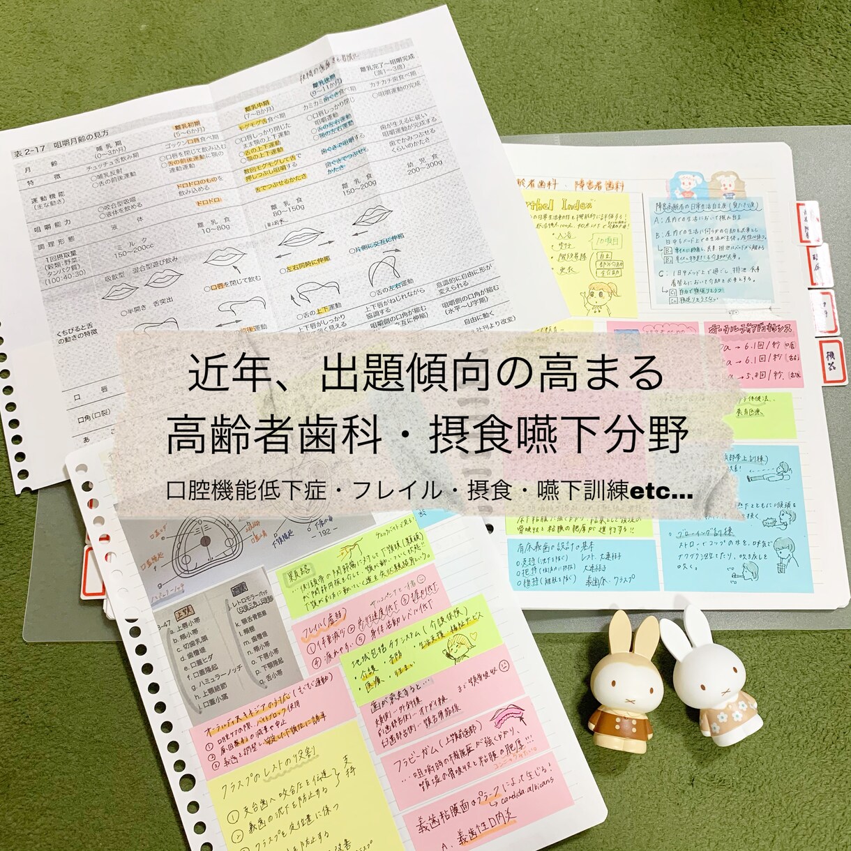 現役DH作成！国試対策まとめノートをお届けします 勉強の時短に！語呂合わせも多数記載しています^_^ イメージ6