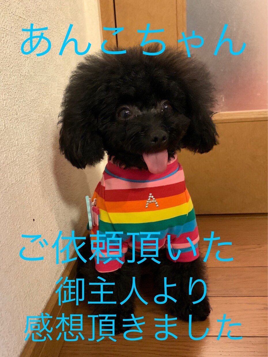ペットと繋がり霊視で【チャット】にお伝えします 普段聞けない事がわかる！何を考えているか♡気になりますね♡ イメージ3