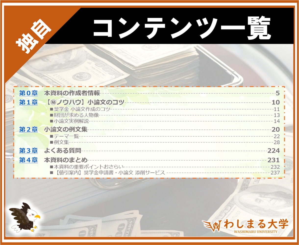 大ボリューム❗️奨学金の小論文例文集、提供します 100種以上の作文集！申請テンプレートとして活用しよう！ イメージ8