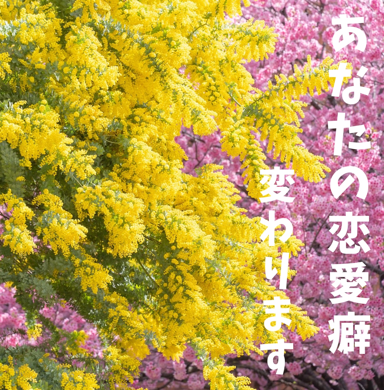 めぐりあえた縁を逃したくない人のお話聞きます 占いジプシーしている人、自称メンヘラ大歓迎✨️ イメージ3