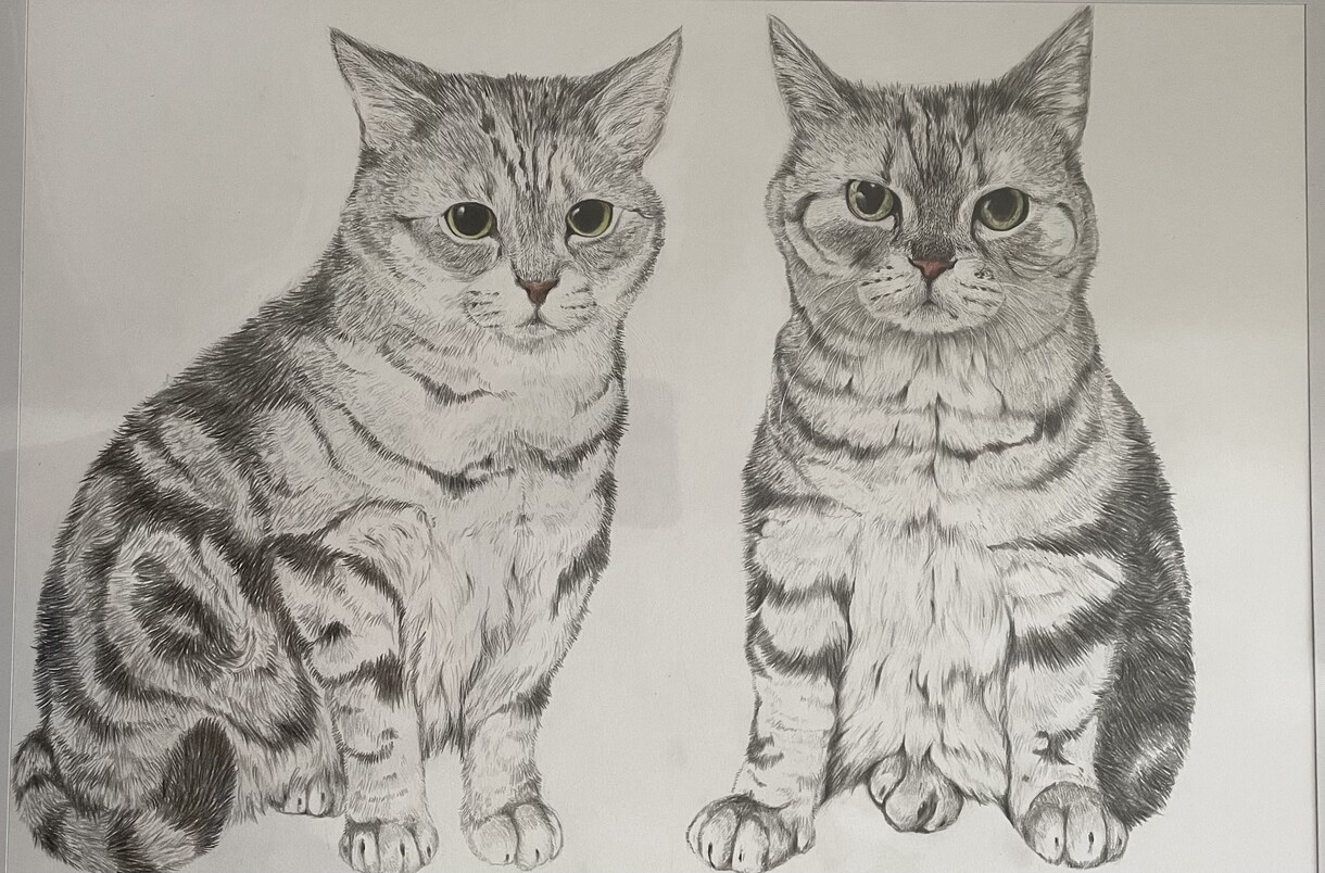 あなたのペット(爬虫類なども)リアルに描きます 決して写真では感じることの出来ない息遣いを感じてみませんか？ イメージ4
