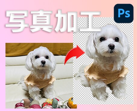 写真の加工・修正（複数枚）承ります 安価に、綺麗な写真の加工を！（切り抜き、不要物の除去、合成） イメージ1