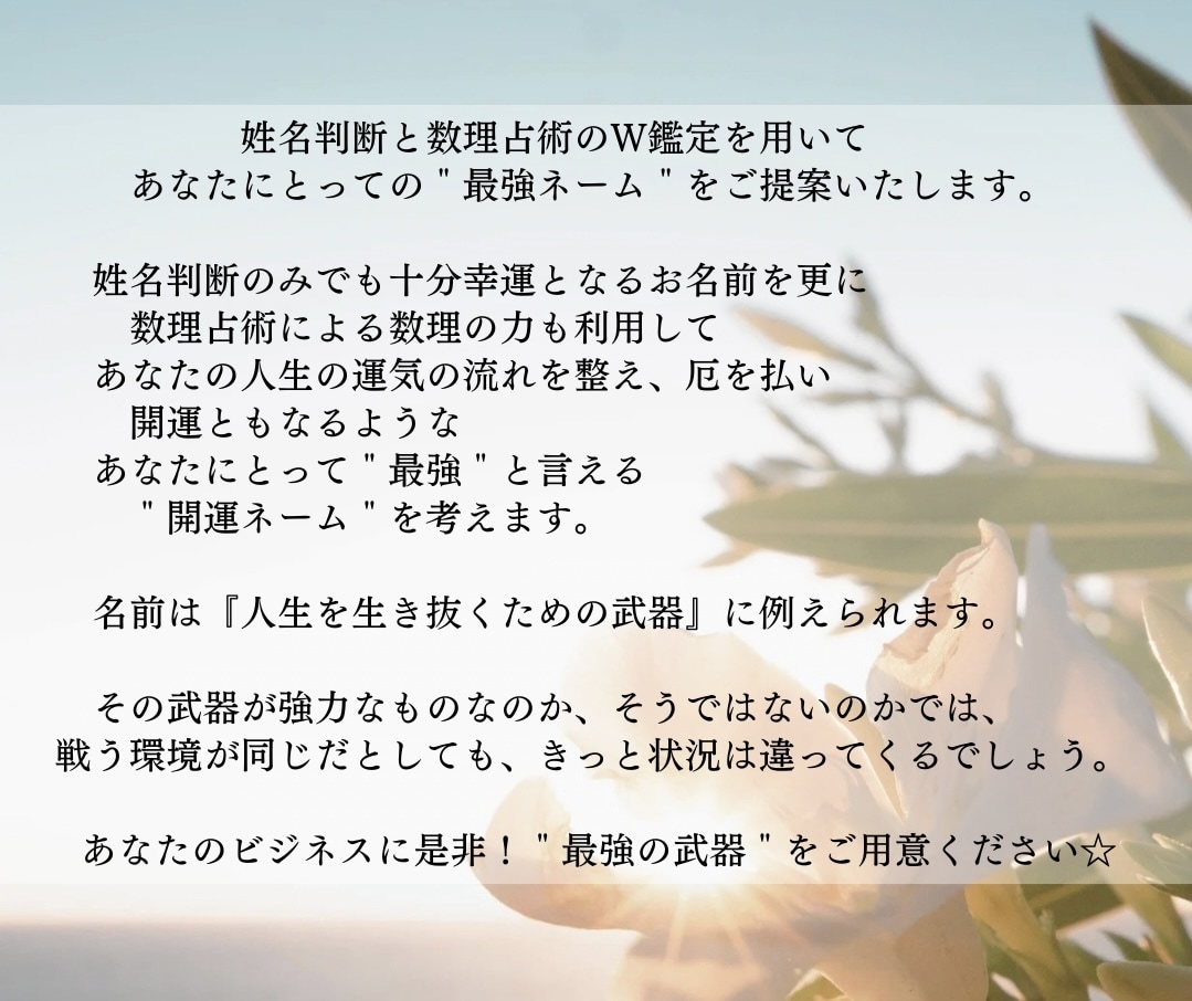 プロの鑑定士が☆開運ビジネスネーム☆ご提案します 〜姓名判断と数理占術のW鑑定で幸運を引き寄せる開運ネーム〜 イメージ2