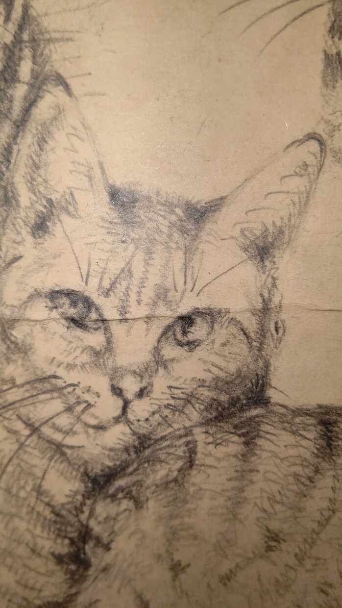 プロの画家がペットの似顔絵描きます 美大を出たプロの画家があなただけのペットの似顔絵描きます。 イメージ3