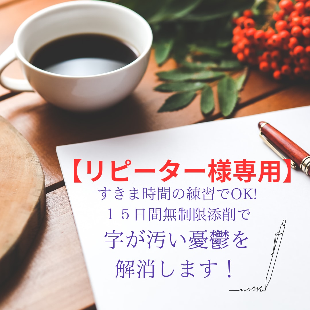 リピーター様用すきま時間で字が汚い悩みを解消します 【15日間無制限添削可】受講後のフォローや新たなご要望に◎ イメージ1