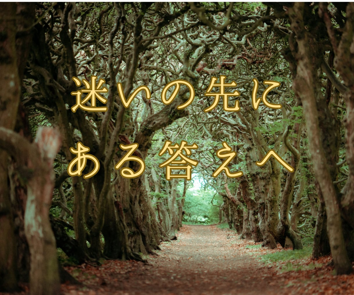 YES・No鑑定／今のあなたに必要な答えを届けます 待つべき？動くべき？恋の選択を視ます イメージ3