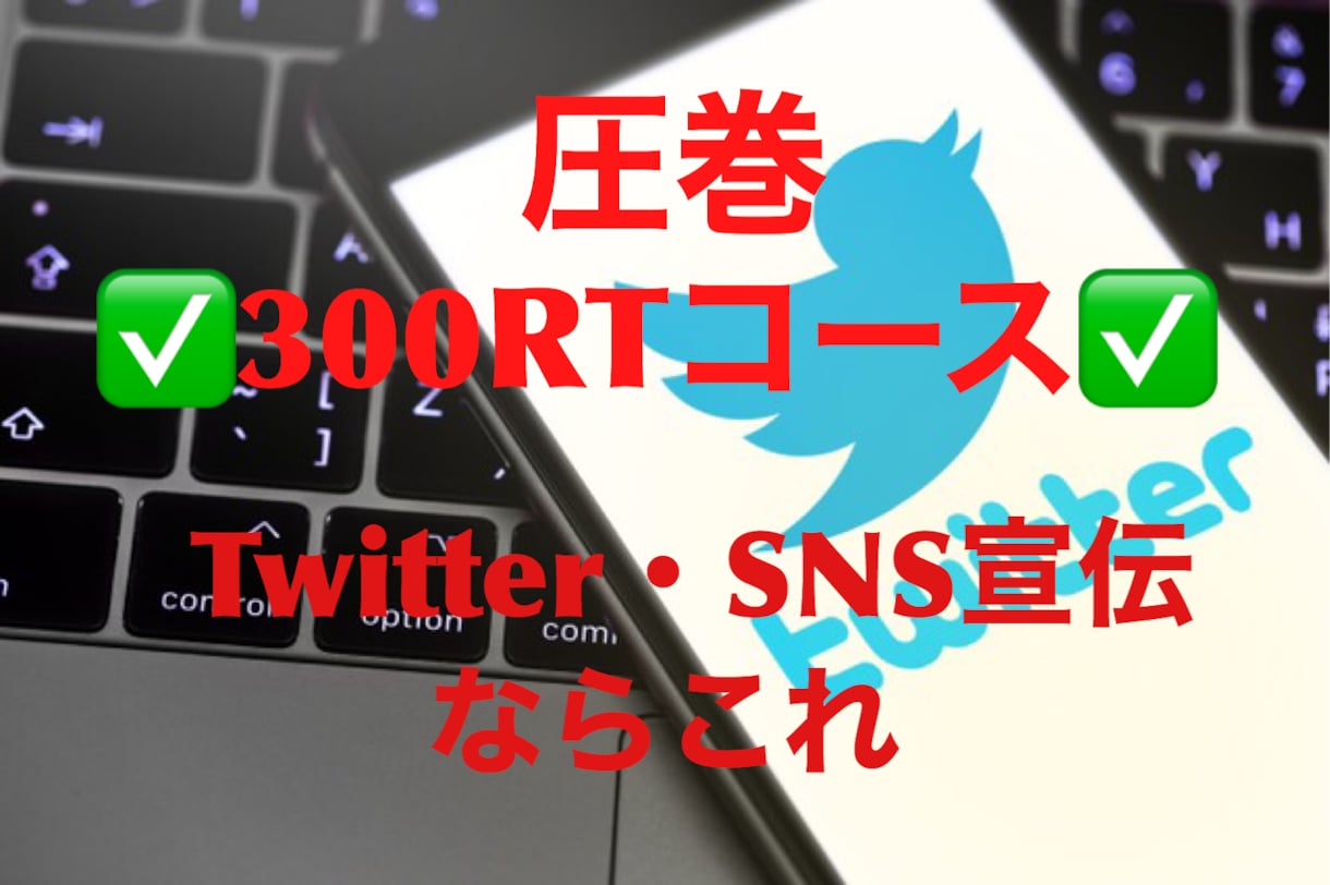 Twitter宣伝！300RTになるまで拡散します 100万人に向けTwitter拡散宣伝！驚異のwebマーケ！ イメージ1