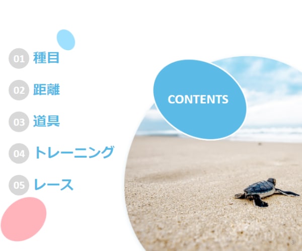 トライアスロンにご興味のある方を受け付けいたします 40代以降 初心者向け トライアスロンの始め方をお伝えします イメージ4