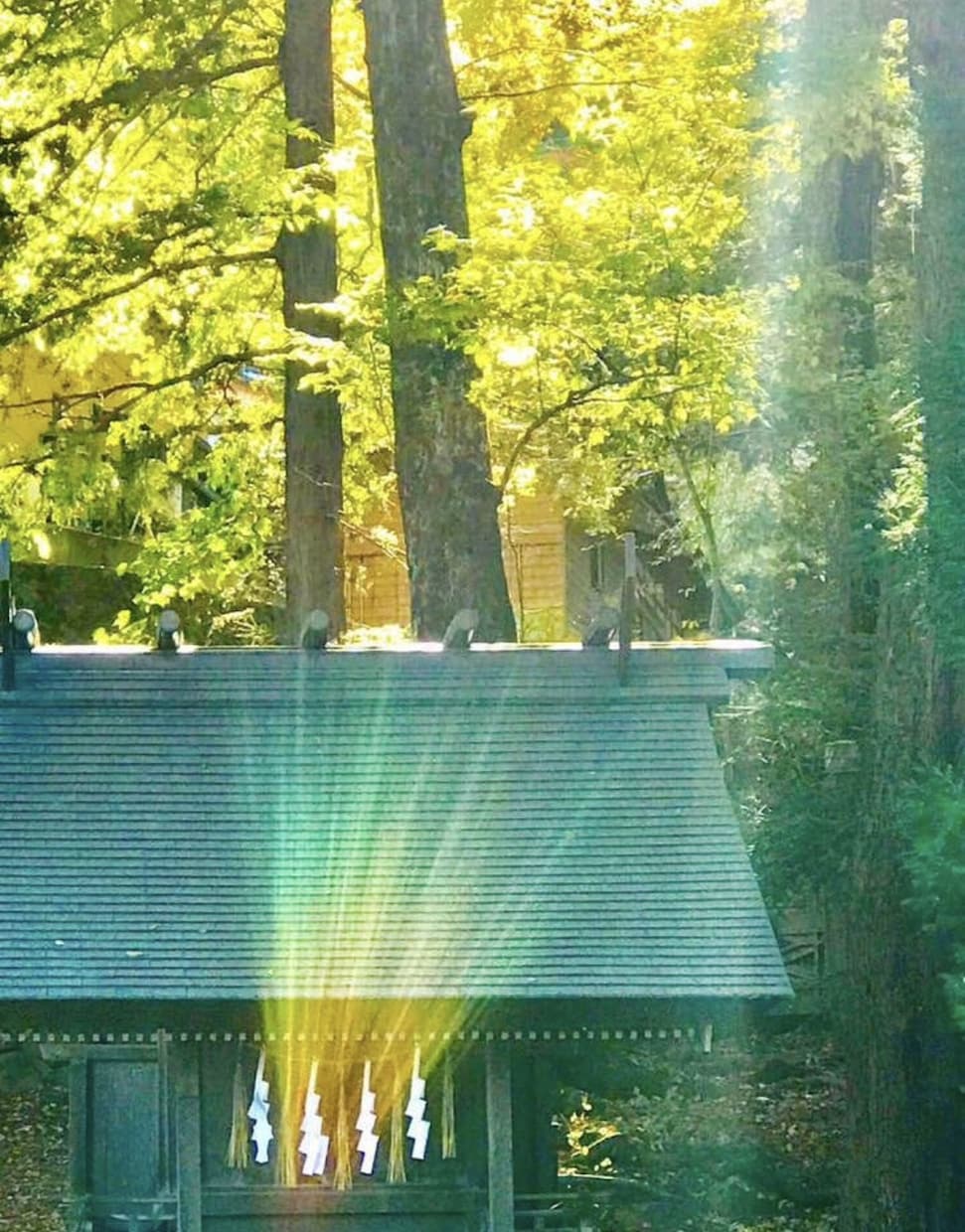 今の金運・仕事運の流れを神様カードで視ます お金も仕事も、ただ頑張るだけではなく 「巡り」  があります イメージ10
