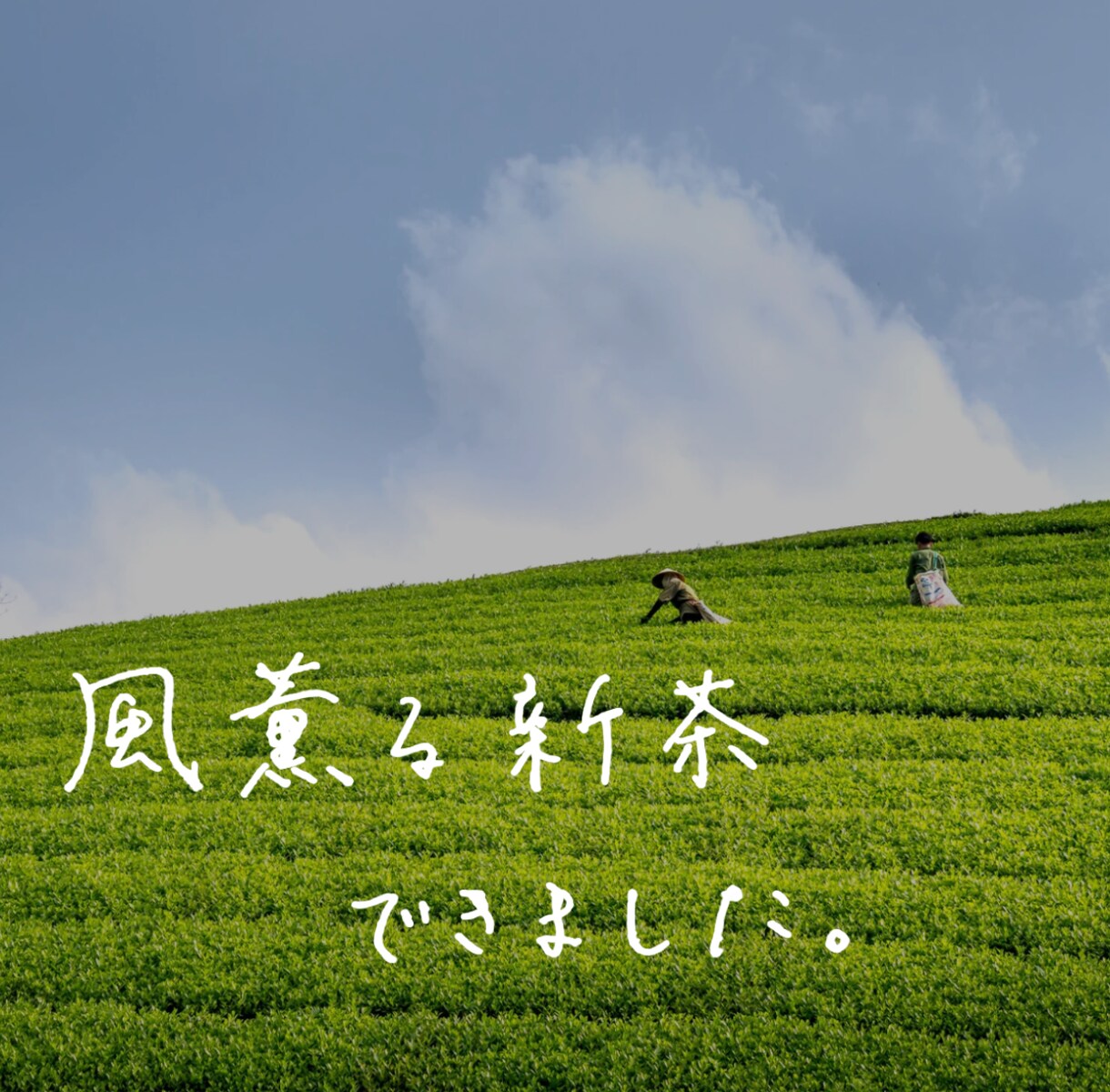整い文字、手書きします ペンや鉛筆で書く、完全アナログの整い手書き文字です。 イメージ6