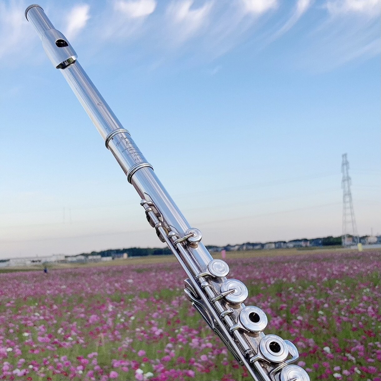 フルートのオンラインレッスン承ります より良い演奏になるよう精一杯お手伝いさせていただきます♪ イメージ2