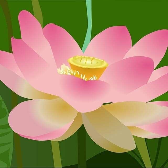 リーダーとしての資質【開眼】を磨き上げまます 内面充電・意識開花・能力覚醒の道へのドアを開きませんか？ イメージ2