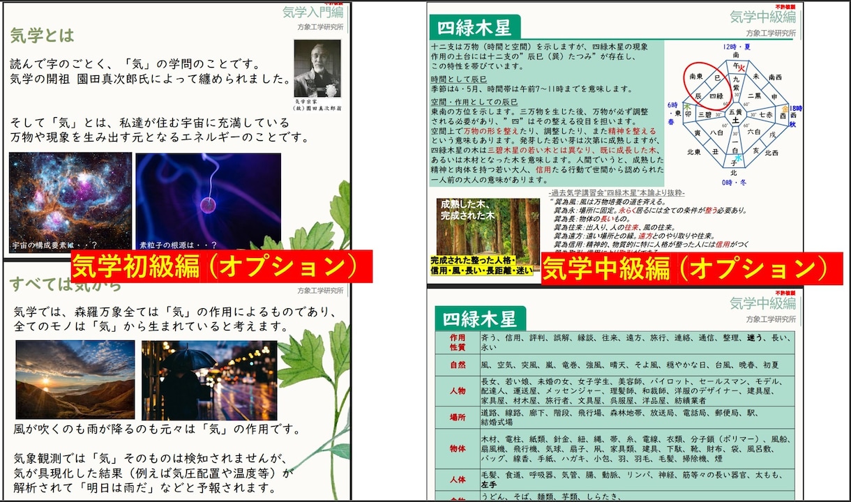 重要な吉方位が一瞬でわかる九星気学ソフトを売ります かんたん操作の自動鑑定ソフト（ダウンロード）/宗家の九星気学 イメージ6