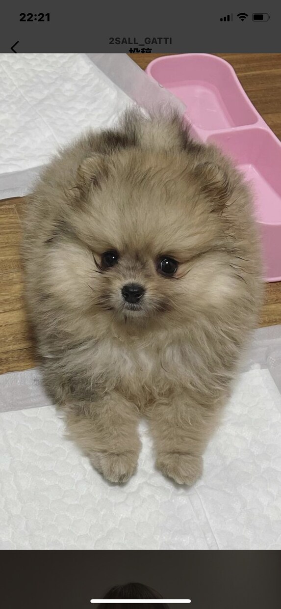 恋愛話も愚痴ききもします 孤独感やどうしようもなく誰にも話せない時頼って下さい。 イメージ1