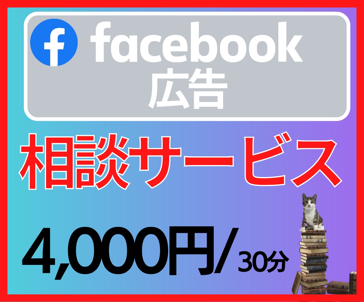 Facebook広告/insta広告相談承ります facebook広告ビジネスマネジャー対応します/ビデオ対応 イメージ1