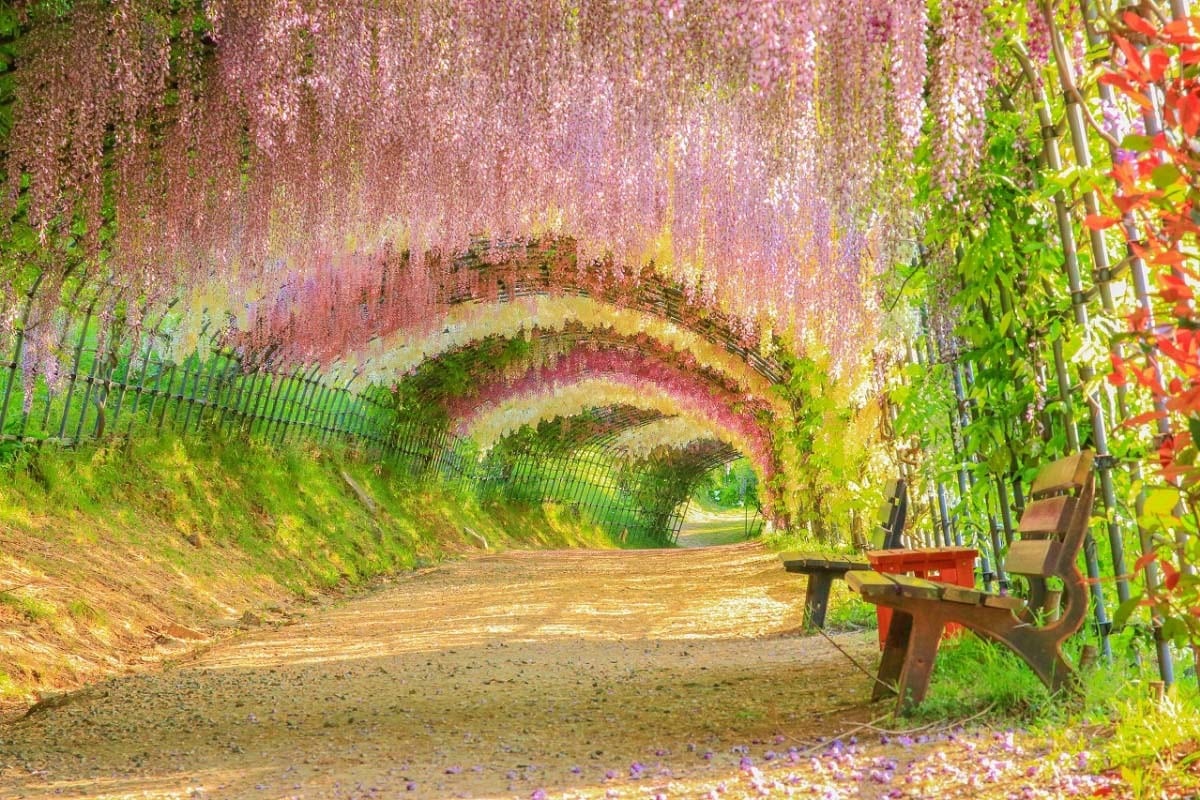 悩みを抱えている方のお力になります 気持ちが少し軽くなる時間をお届けします。 イメージ1
