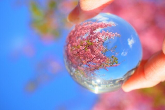 恋愛のお悩みを鑑定致します 愛のあるメッセージをお伝え致します♡ イメージ1
