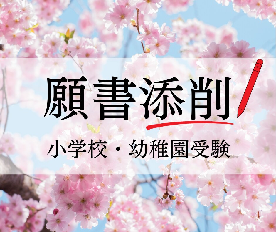 合格に導きます！小学校、幼稚園受験願書添削承ります 願書添削歴15年以上！お任せください♪ イメージ1