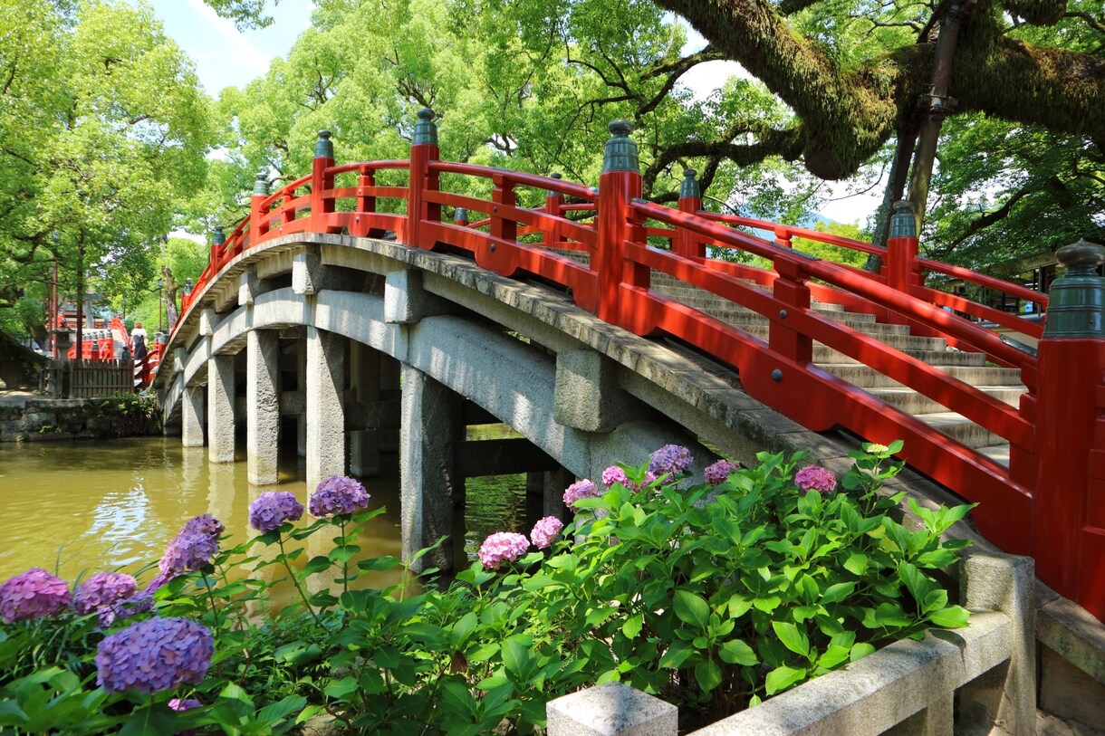 中学国語の大問ひとつについて解説プリントを作ります 九大卒・現役個別塾講師が公立高校入試問題まで国語を解説します イメージ1