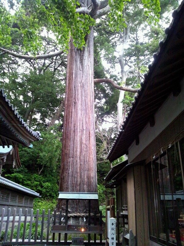 恋愛成就するには？相手の攻略法をお伝えします 彼の好きなタイプは？攻略法をお伝えします。 イメージ1