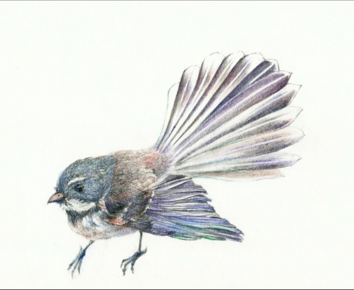 動植物・抽象模様の挿絵やイラストを描きます プロアーティストがあなたにお洒落に目を引くイラストを描きます イメージ1
